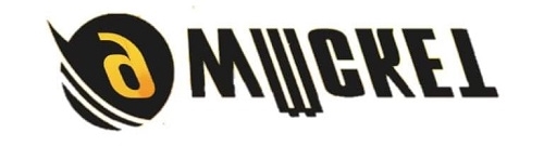 9wickets logo